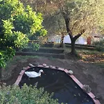 Gli Amici Di Carla بيت ضيافة لا سبيتسْيا