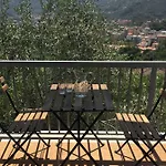 Gli Amici Di Carla 3*