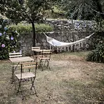 Gli Amici Di Carla