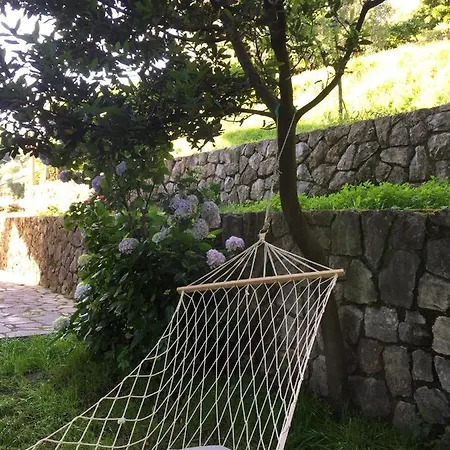 Gli Amici Di Carla Casa de hóspedes