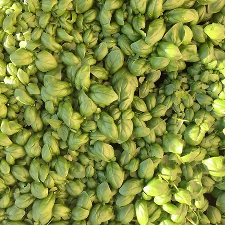 בית הארחה Gli Amici Di Carla 3*