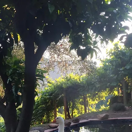 Casa de hóspedes Gli Amici Di Carla 3*