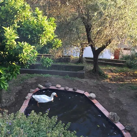 Gli Amici Di Carla Casa de hóspedes La Spezia