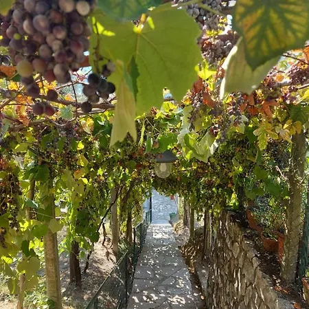 Casa de hóspedes Gli Amici Di Carla La Spezia