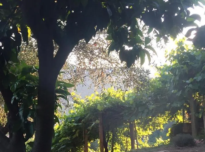 Pensjonat Gli Amici Di Carla 3*