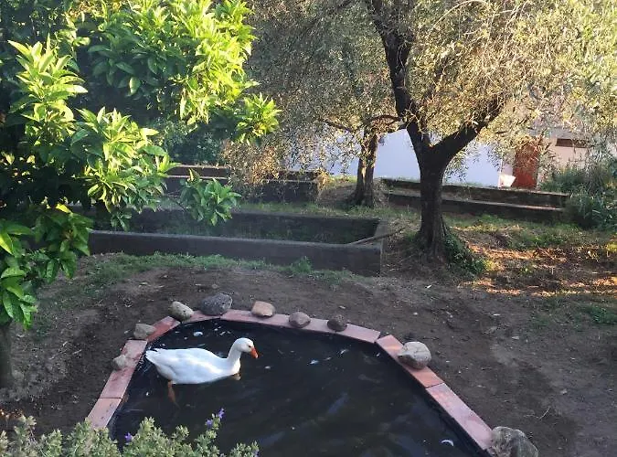 Gli Amici Di Carla Pensjonat La Spezia