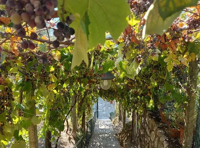 Pensjonat Gli Amici Di Carla La Spezia