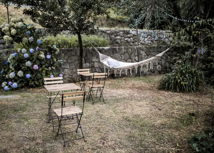 Gli Amici Di Carla