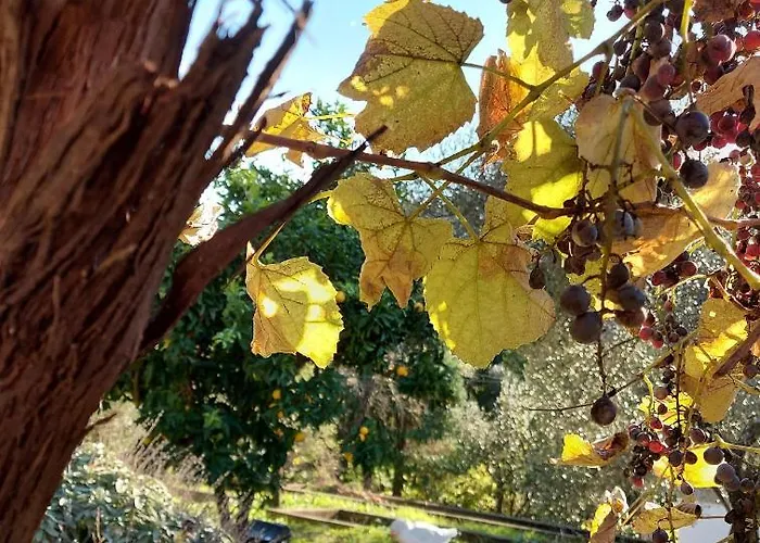 Gli Amici Di Carla La Spezia