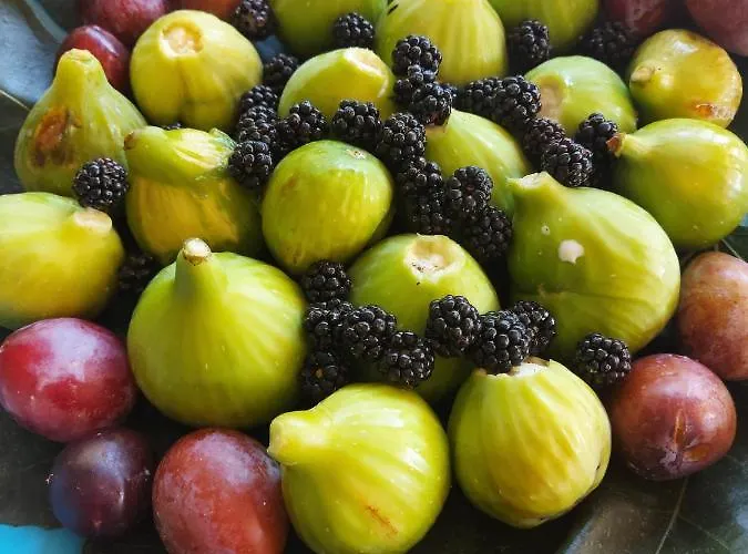 Gli Amici Di Carla Pensjonat 3*